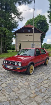 małopolskie Volkswagen Golf cena 35000 przebieg: 75800, rok produkcji 1991 z Chorzele